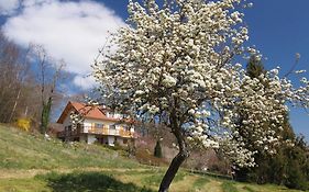 Le Merle Enchanteur